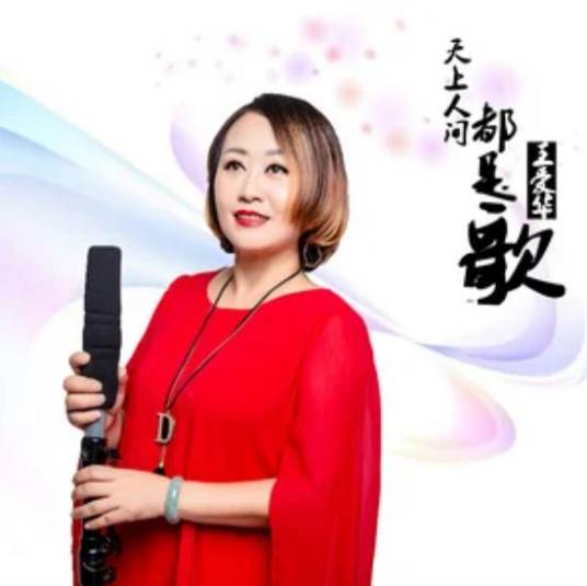 一夜又一夜（王爱华演唱的歌曲）_百度百科