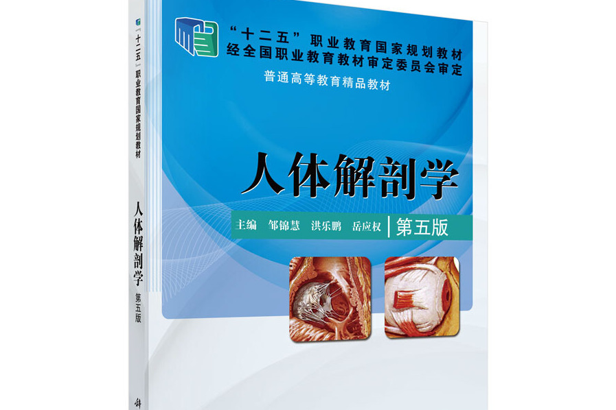 人体解剖学(第五版)