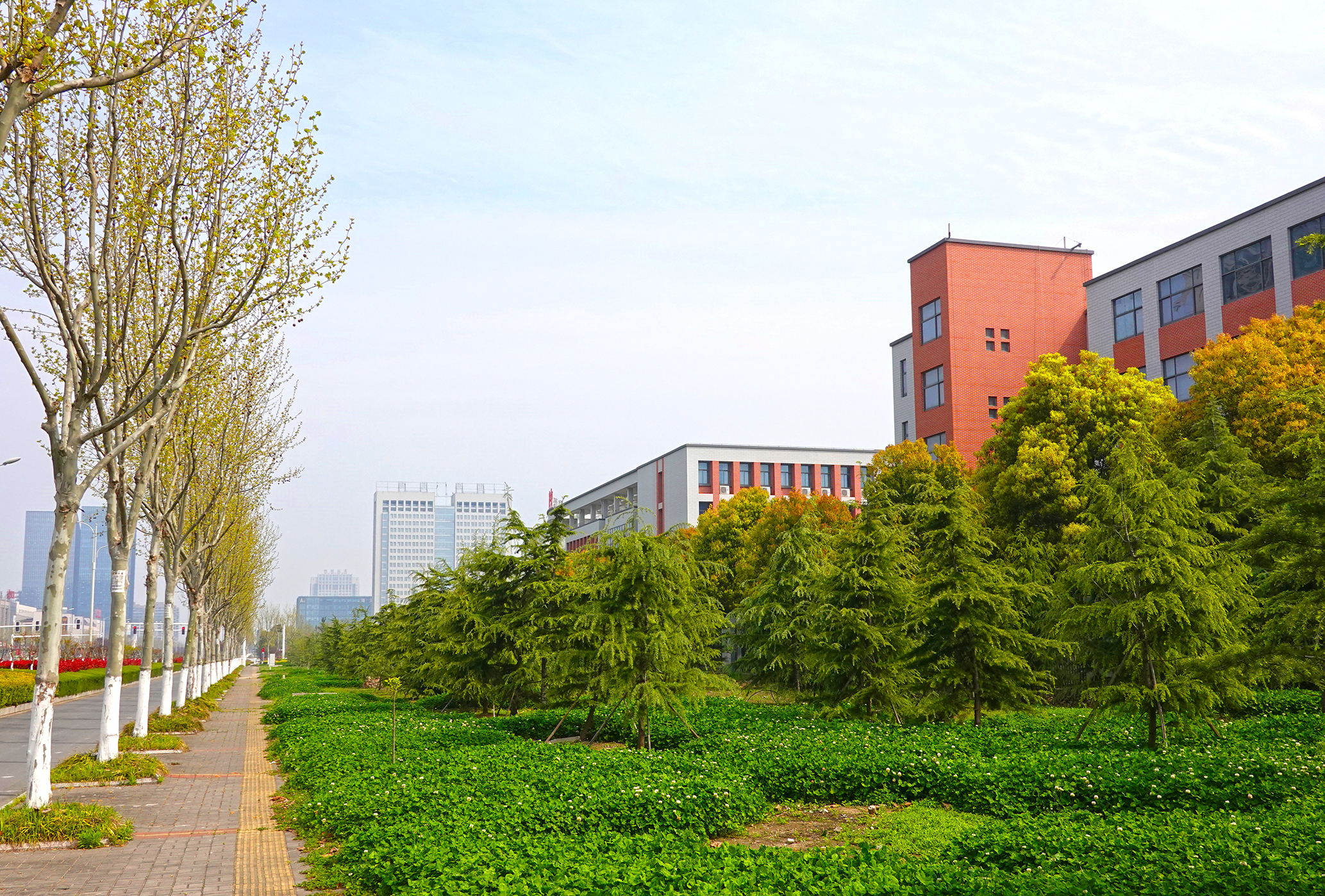  p>江苏省东台中学始创于1905年,1964年被列为江苏省48所试点中学之一