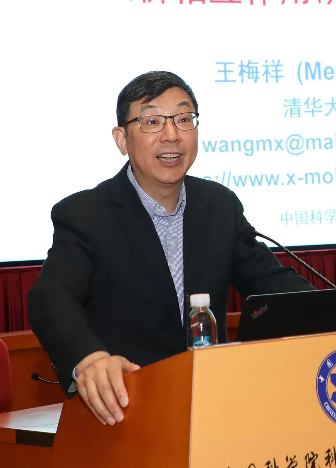  p data-id="gnx698boiv">王梅祥,1960年9月出生于上海市,有机化学家