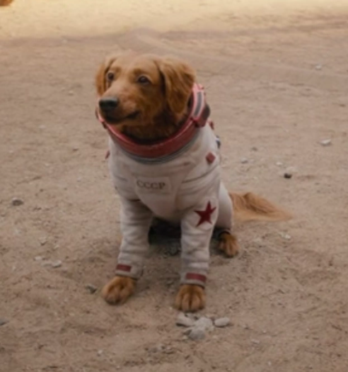 俄国太空狗科斯莫