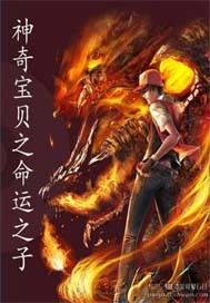 神奇宝贝之命运之子