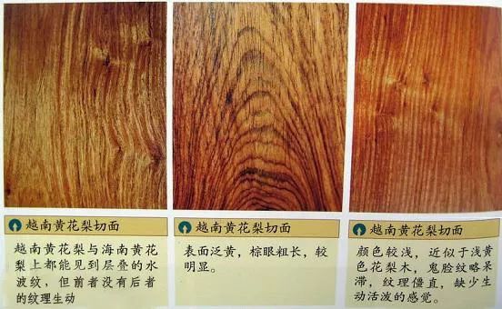 越南黄花梨 出身名门 华而有实 百科ta说