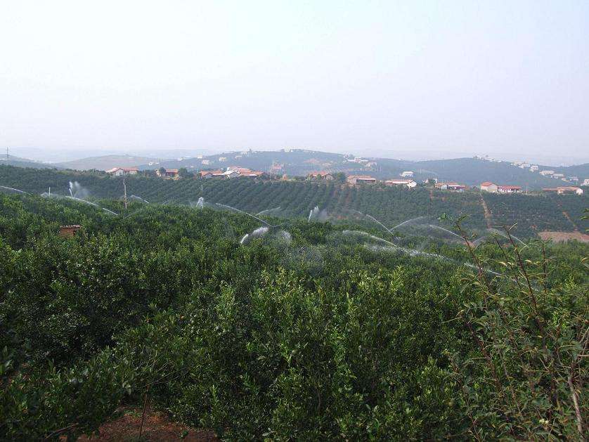  p>半月镇,隶属于湖北省宜昌市当阳市,地处 a target="_blank" href="