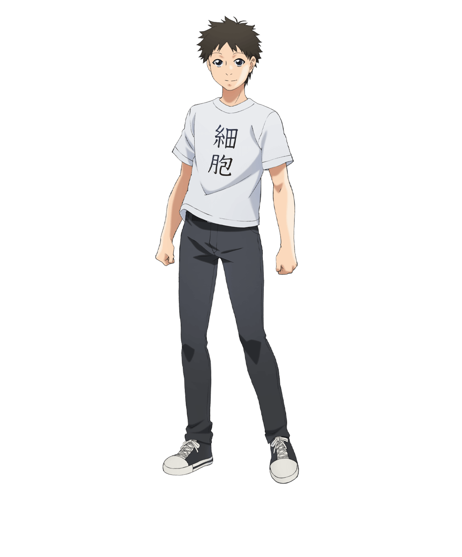 工作细胞第二季