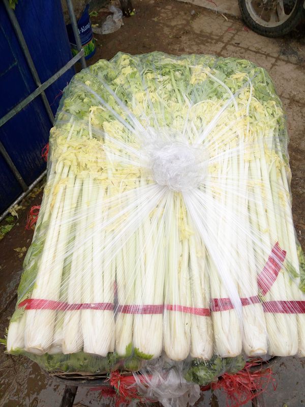  p>桂河芹菜,山东省潍坊市 a target="_blank" href="/item/寿光市