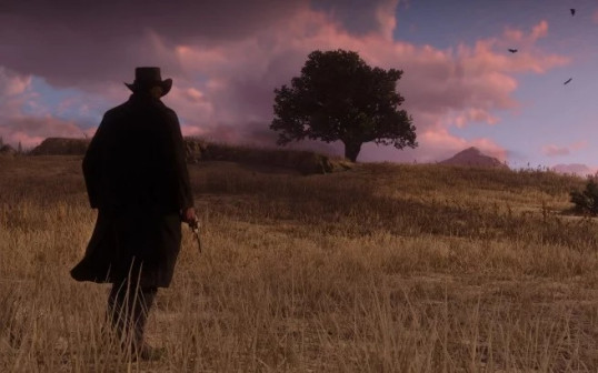 Red Dead Redemption 2_百度百科