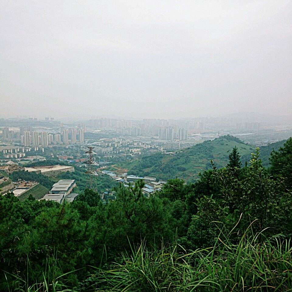 重庆尖刀山森林公园