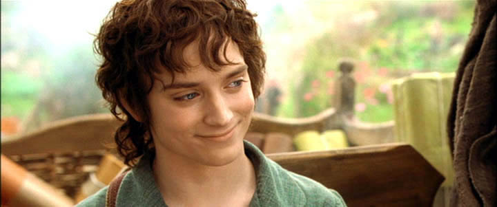  p>弗拉多·巴金斯是《 a target="_blank" href="/item/魔戒/248"