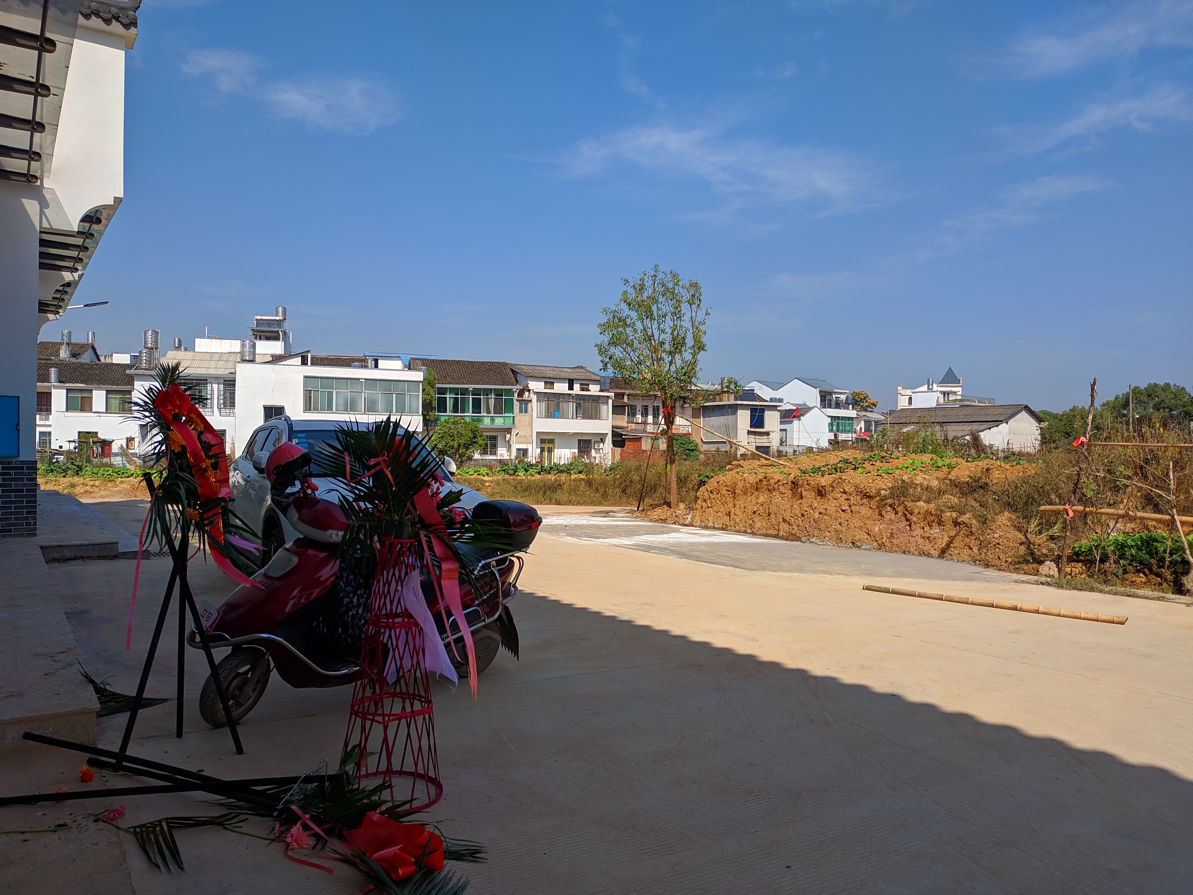 道林镇农贸市场