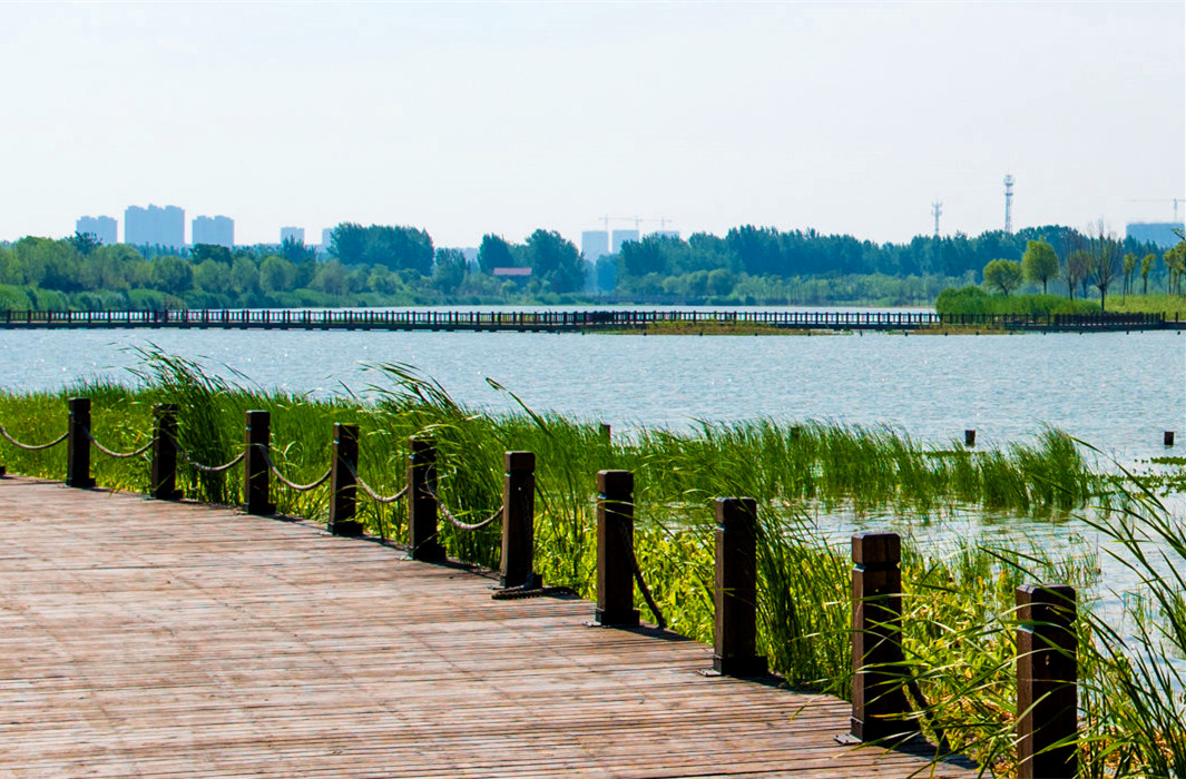 江苏九里湖国家湿地公园
