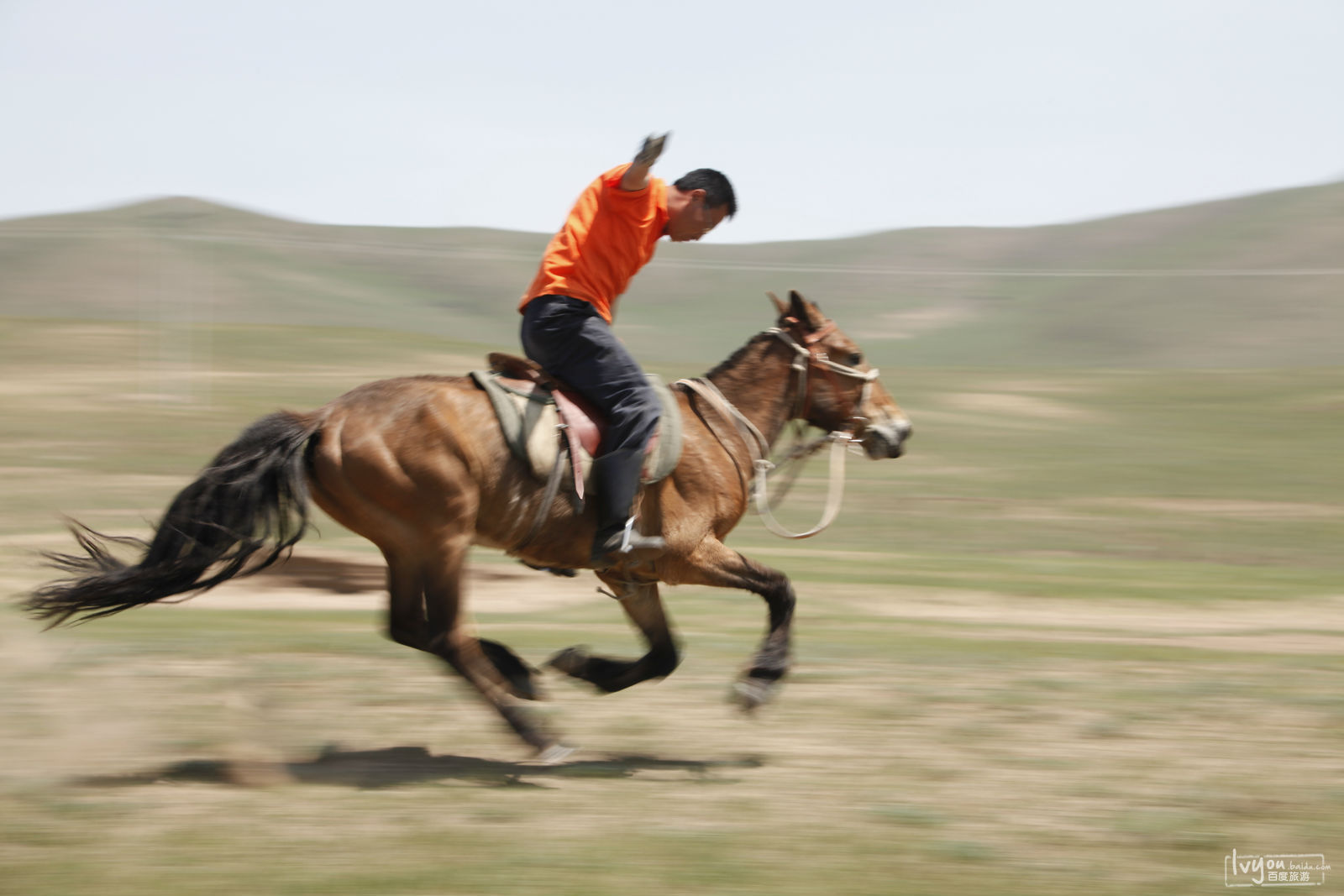 木兰围场国际狩猎场