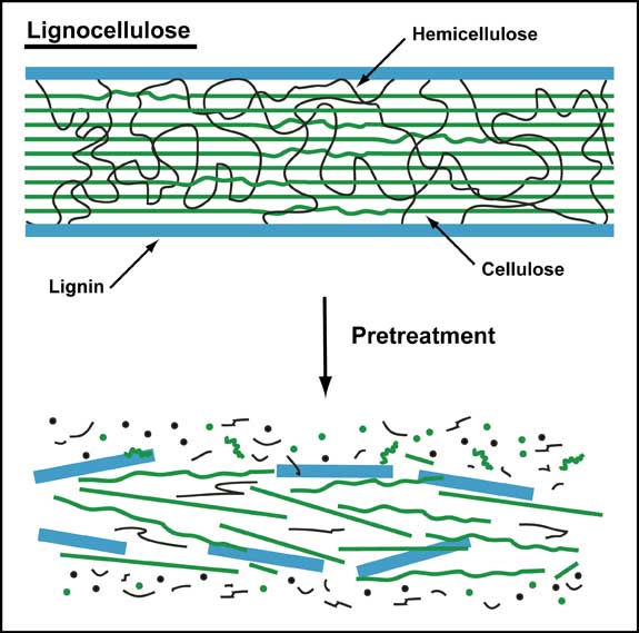  p>半纤维素(hemicellulose):是由几种不同类型的 a href="#" data