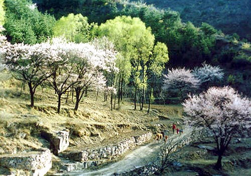  p>上涂村隶属浙江省瑞安市梅头镇,位于城区东北14.70公里处.