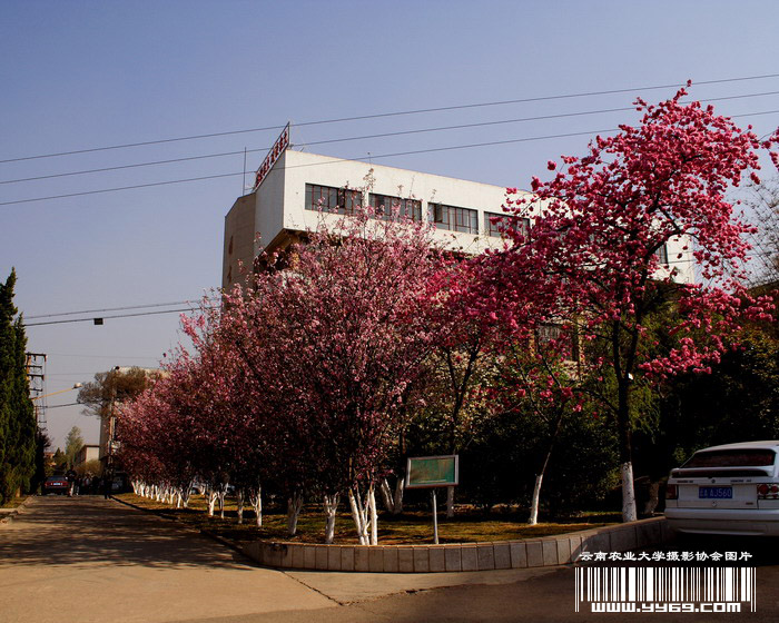 云南农业大学图书馆