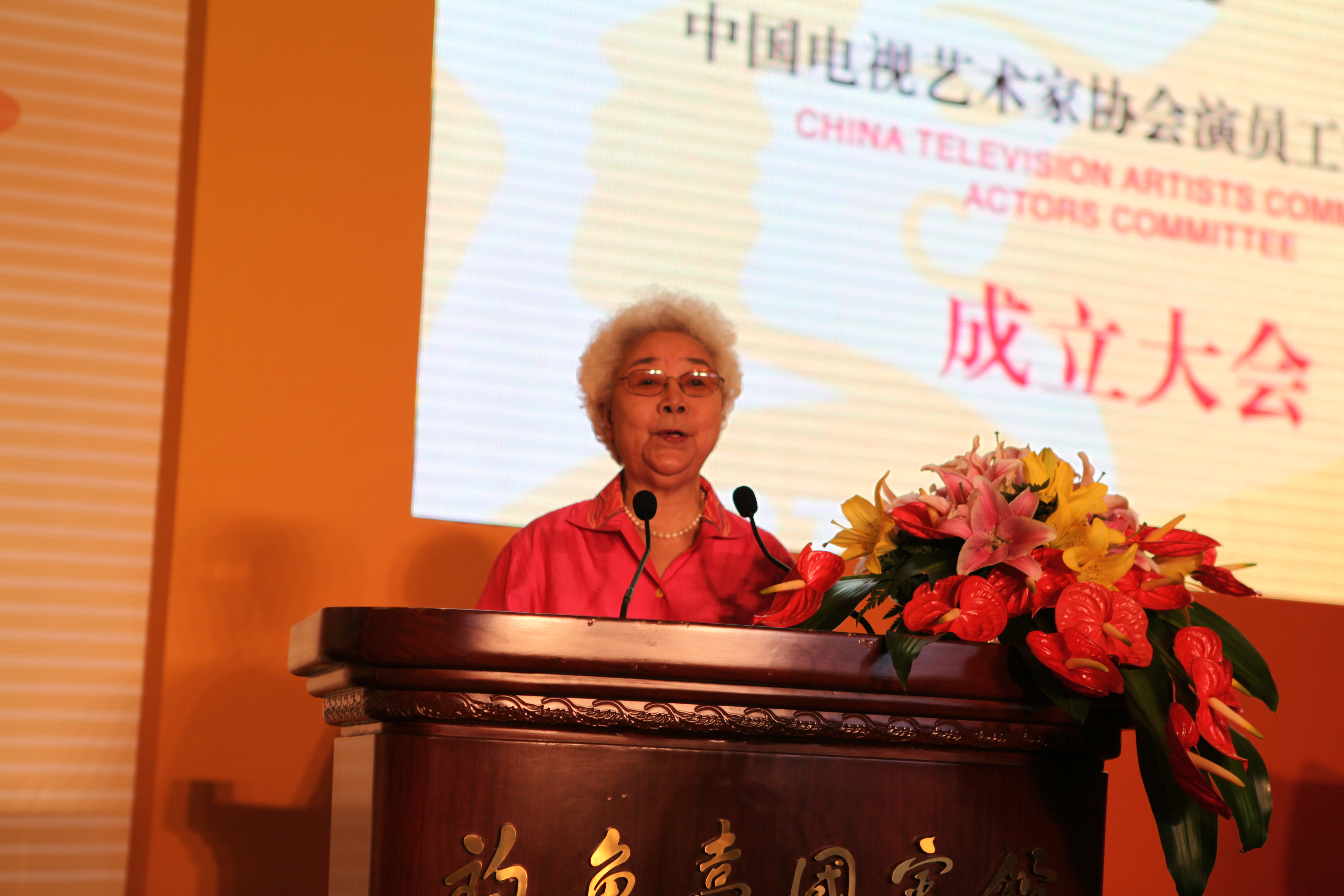  p>中国电视艺术家协会演员工作委员会(简称:中国视协演工委),是在