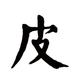 皮（汉语文字）_百度百科