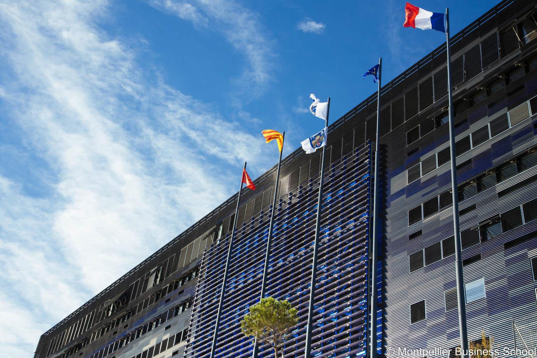 蒙彼利埃商学院