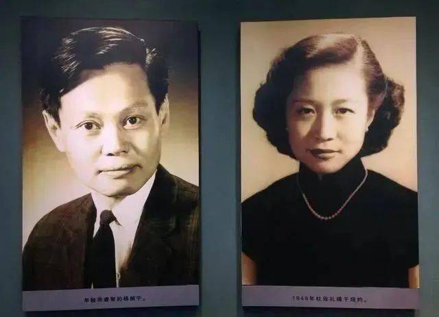 杜致礼