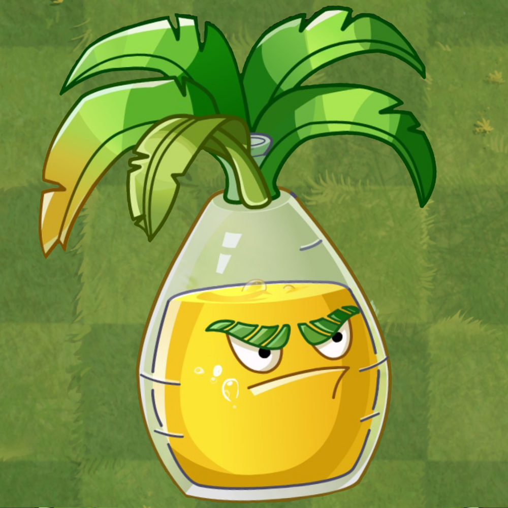 植物大战僵尸奇妙时空之旅