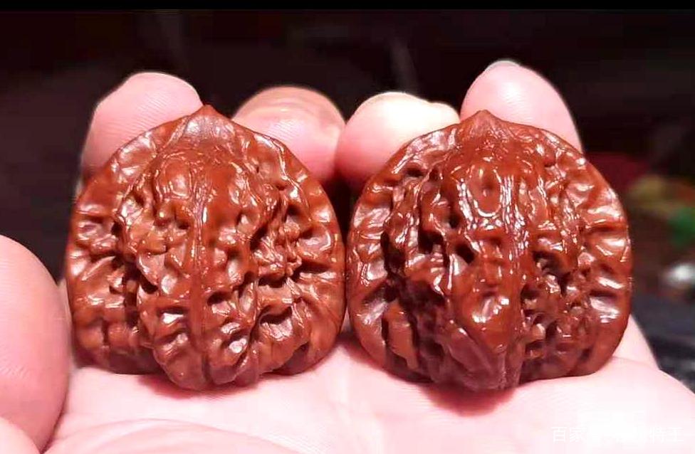 史上最全的文玩核桃品种分享之白蛇谷狮子头_百科TA说