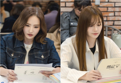 丑闻（韩国2024年韩彩英、韩宝凛主演的电视剧）_百度百科