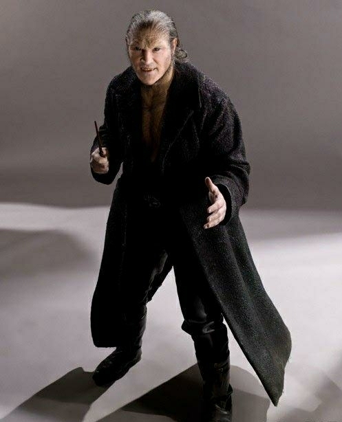  p>芬里尔·格雷伯克(fenrir greyback)j.k.