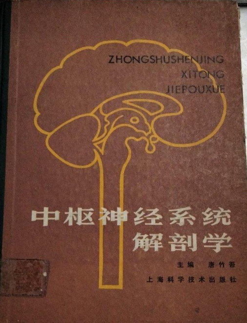中枢神经系统解剖