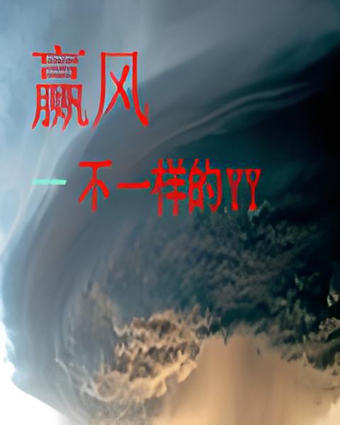 赢风