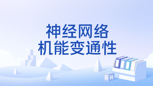 神经网络机能变通性_百度百科