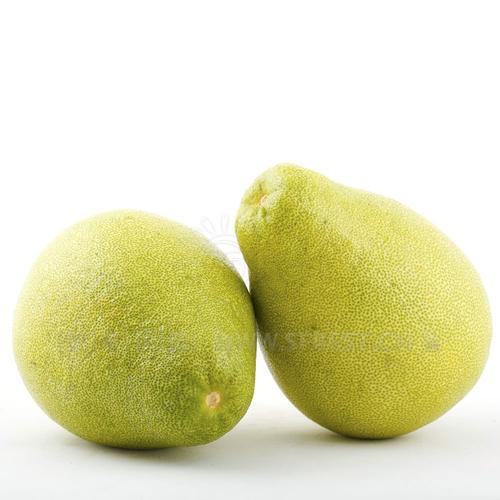  p data-id="gnwyrx0kod">文旦(俗称:团圆果,柚子)为 a target="