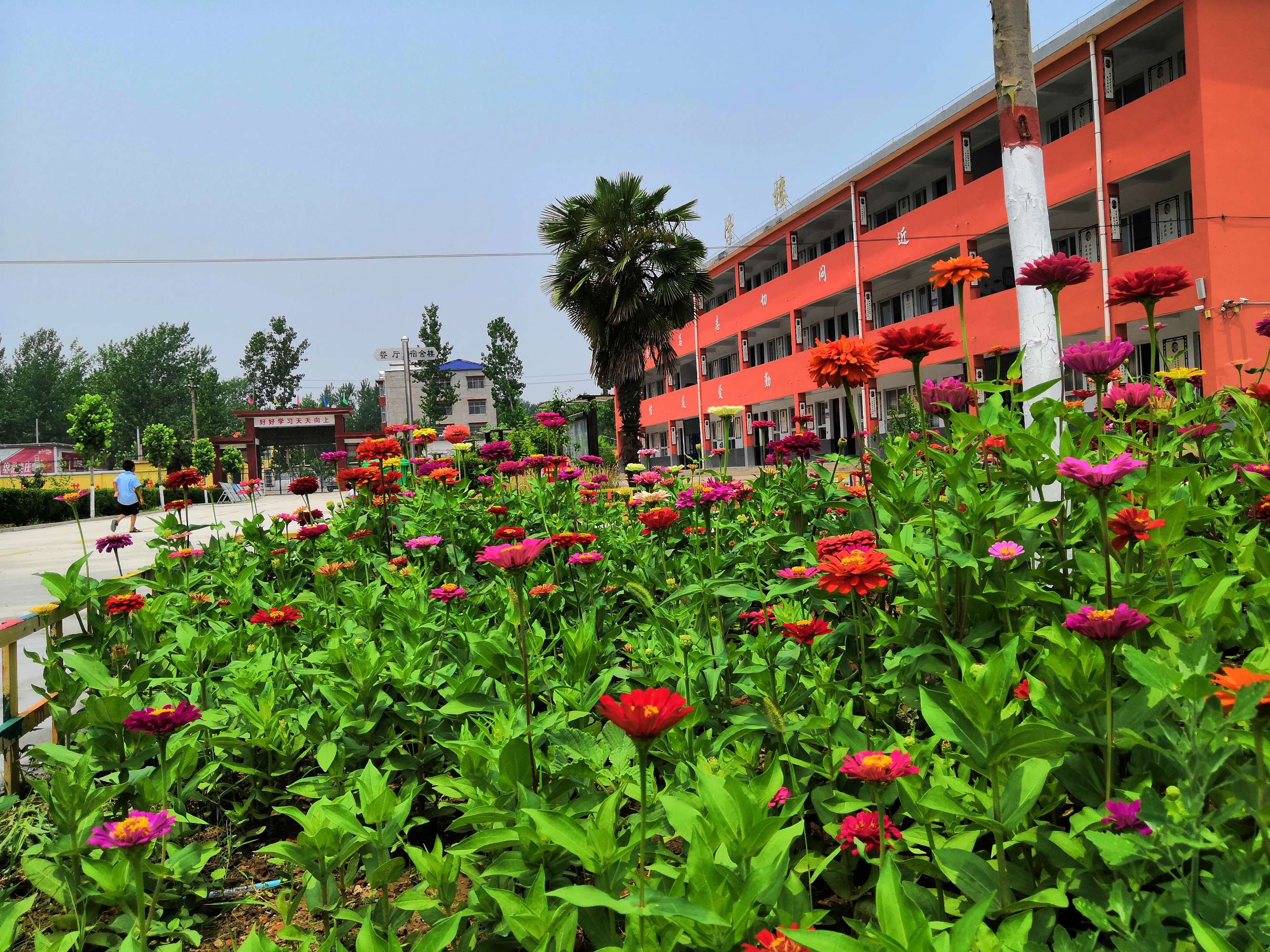 data-lemmaid="59474">河南省 /a>周口市鹿邑县,地处 a target="