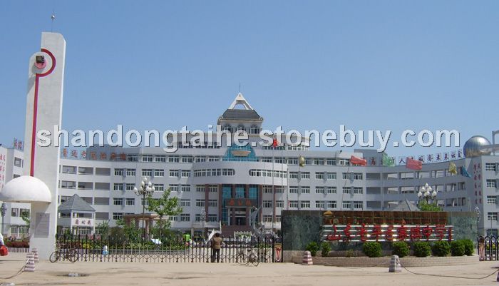 target="_blank" href="/item/平邑赛博中学/3473762" data-lemmaid="