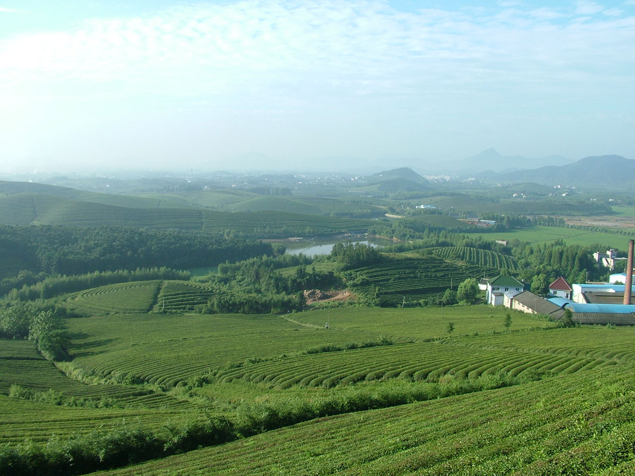 小古城村