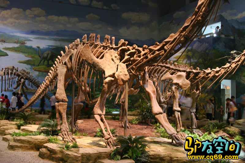 ="gnhee4wruo">自贡恐龙博物馆(zigong dinosaur museum)位于四川省 a