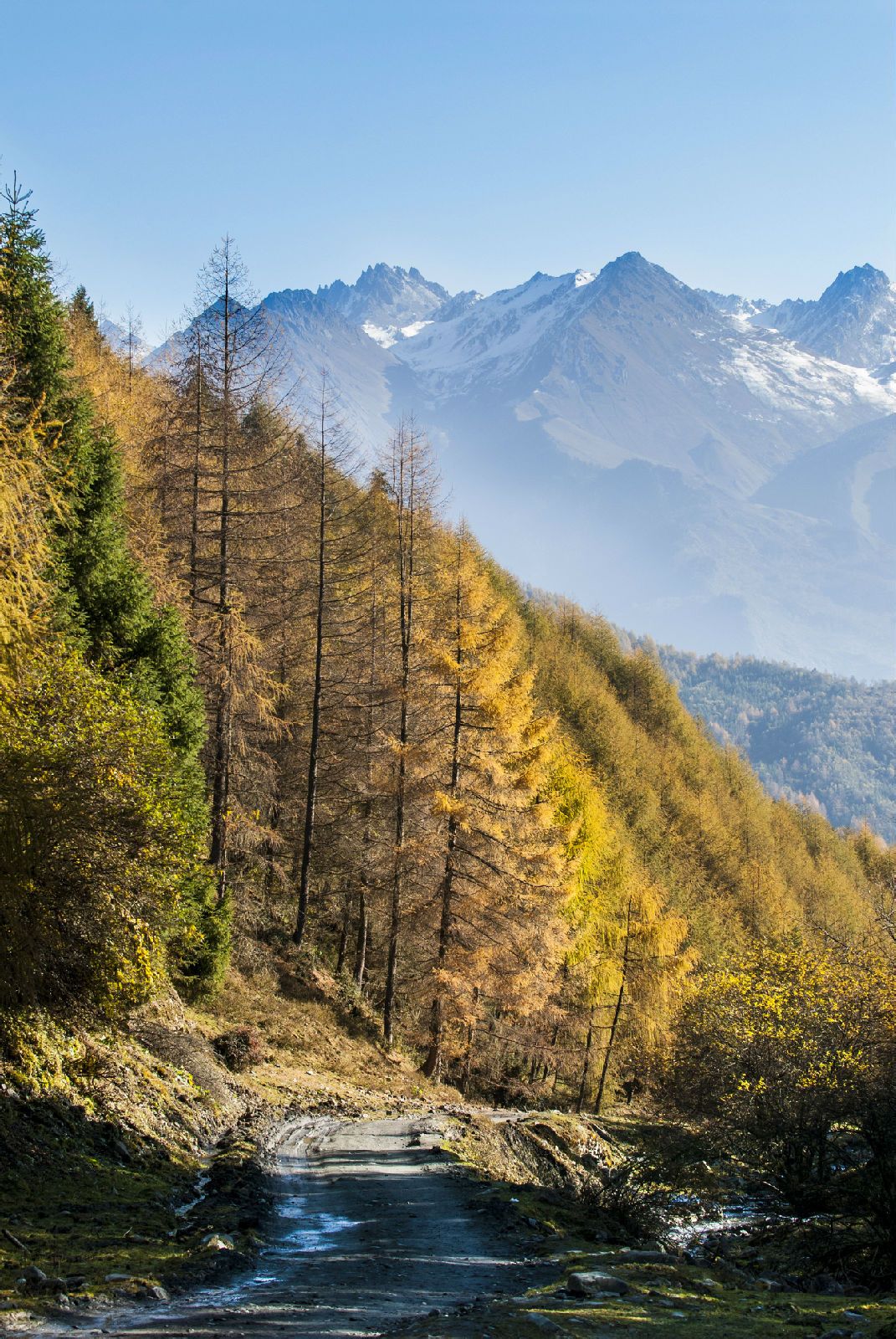 距县城约50公里,海拔3000米左右,神木垒原生态风景区位于宝兴硗碛