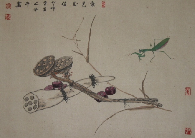工笔草虫