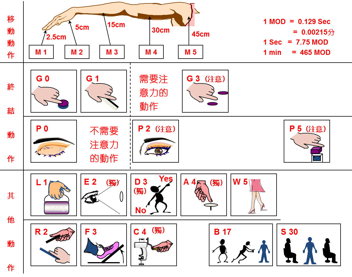 p data-id="gnxbio08mt">模特排时法是根据人体动作的部位,动作的