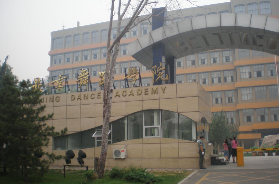  p>北京舞蹈学院(beijing dance academy)是一所以高素质舞蹈人才培养