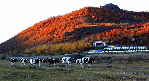  p>丰宁满族自治县,隶属河北省 a target="_blank" href="/item/承德