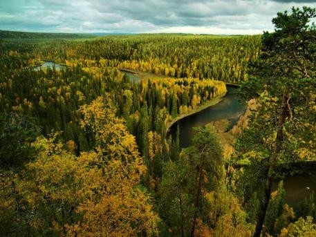  p>科米原始森林位于俄罗斯乌拉尔山麓,面积32800平方千米,是欧洲现存