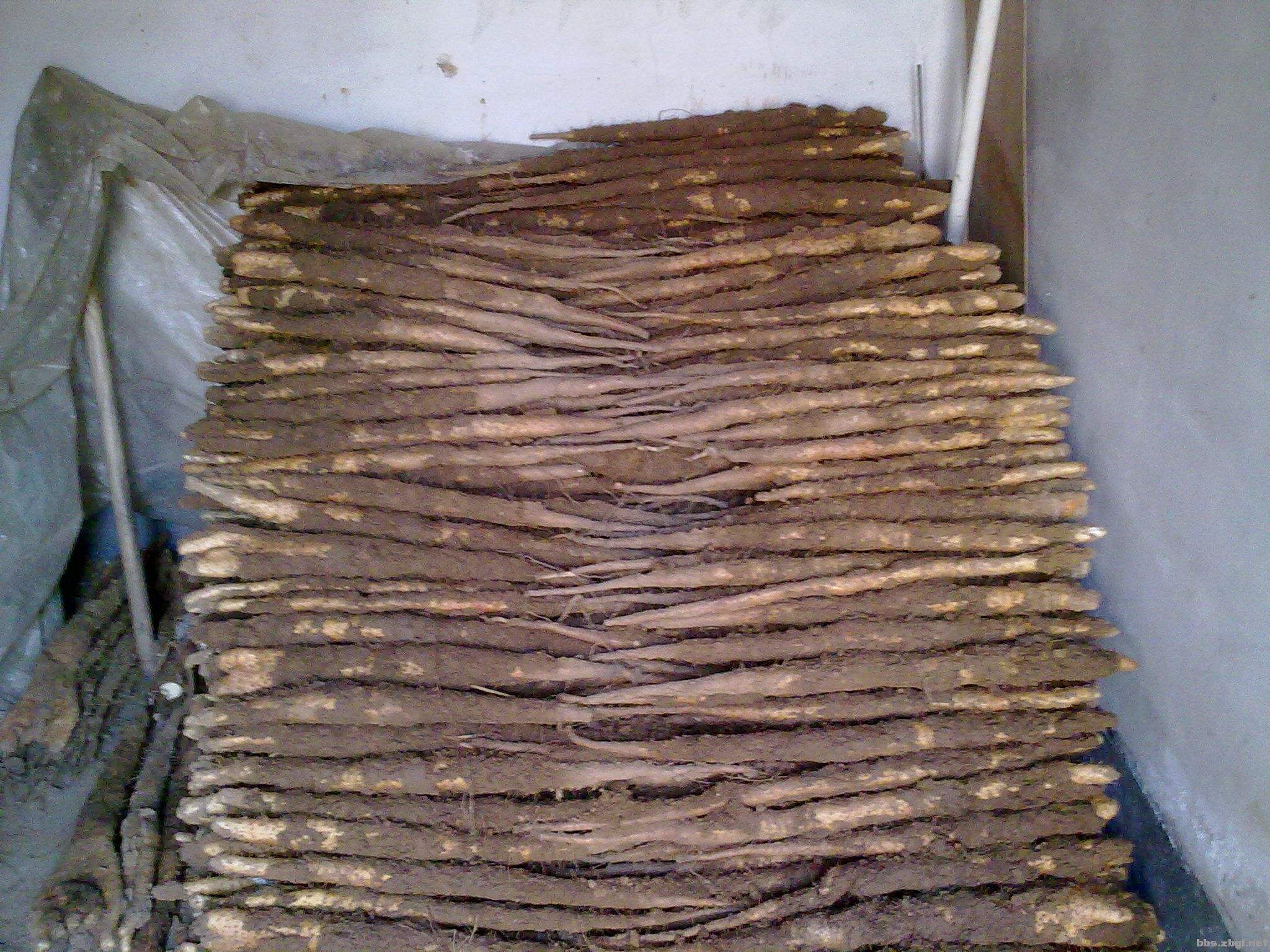  p>新城细毛山药,山东省 a href="#" data-lemmaid="6694678">桓台县 