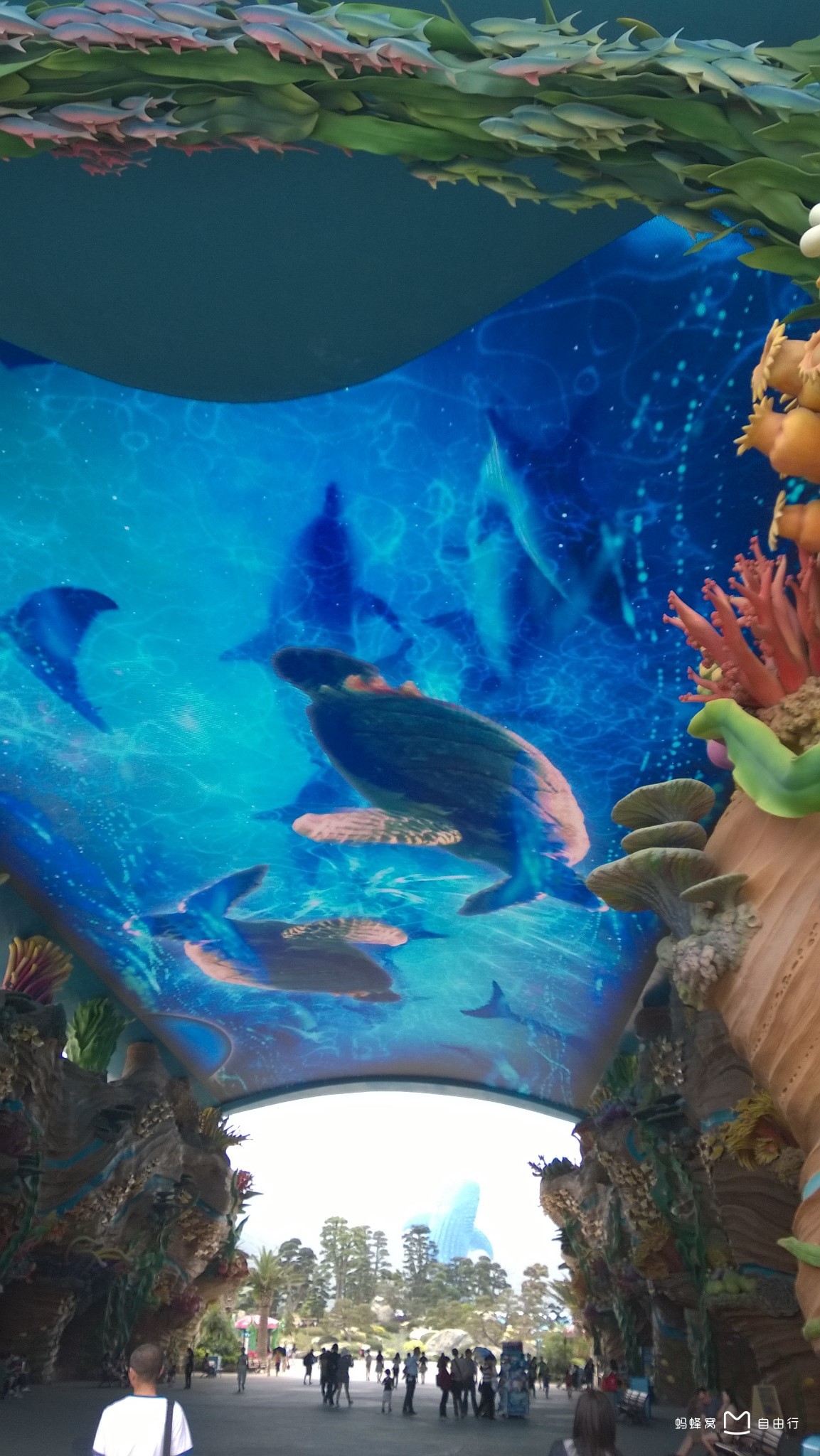 珠海横琴长隆国际海洋度假区