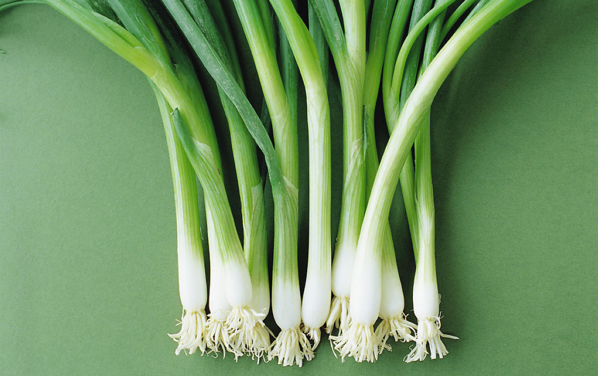  p>管花葱是一种葱科,葱属植物,为中国特有.