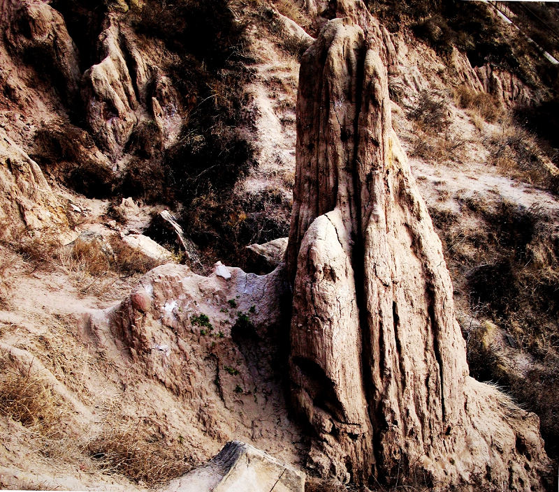  p>土柱是指用于研究的柱状土体.