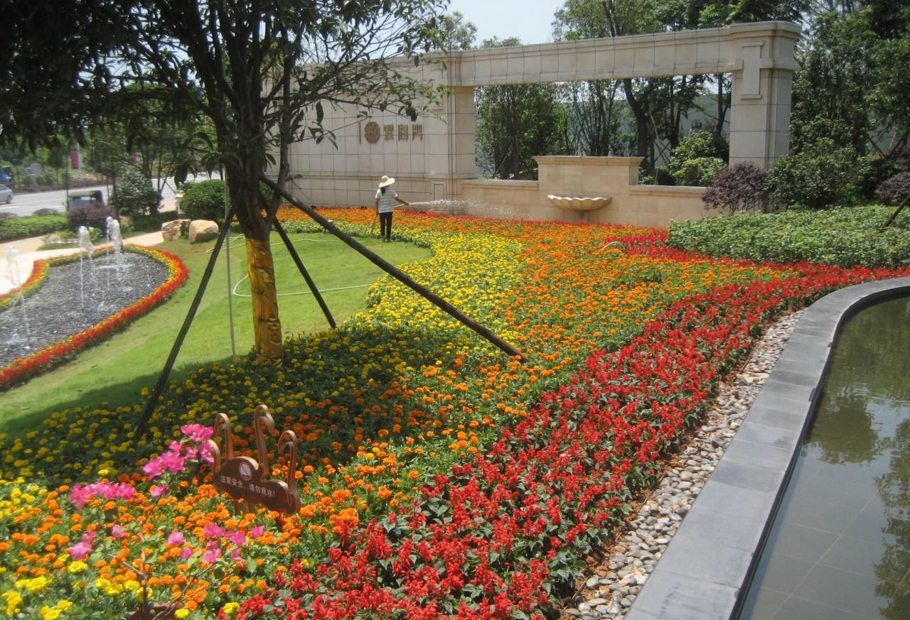  p data-id="gn7g2zbujn">草花花坛就是用草花经艺术组合种植的 a