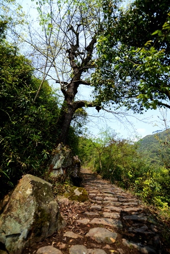 车岭古道