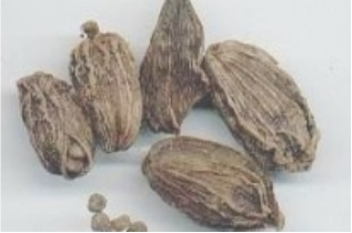  p>香豆蔻,中药名.