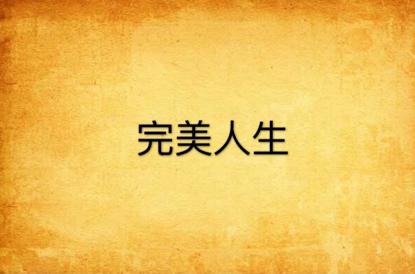 完美人生