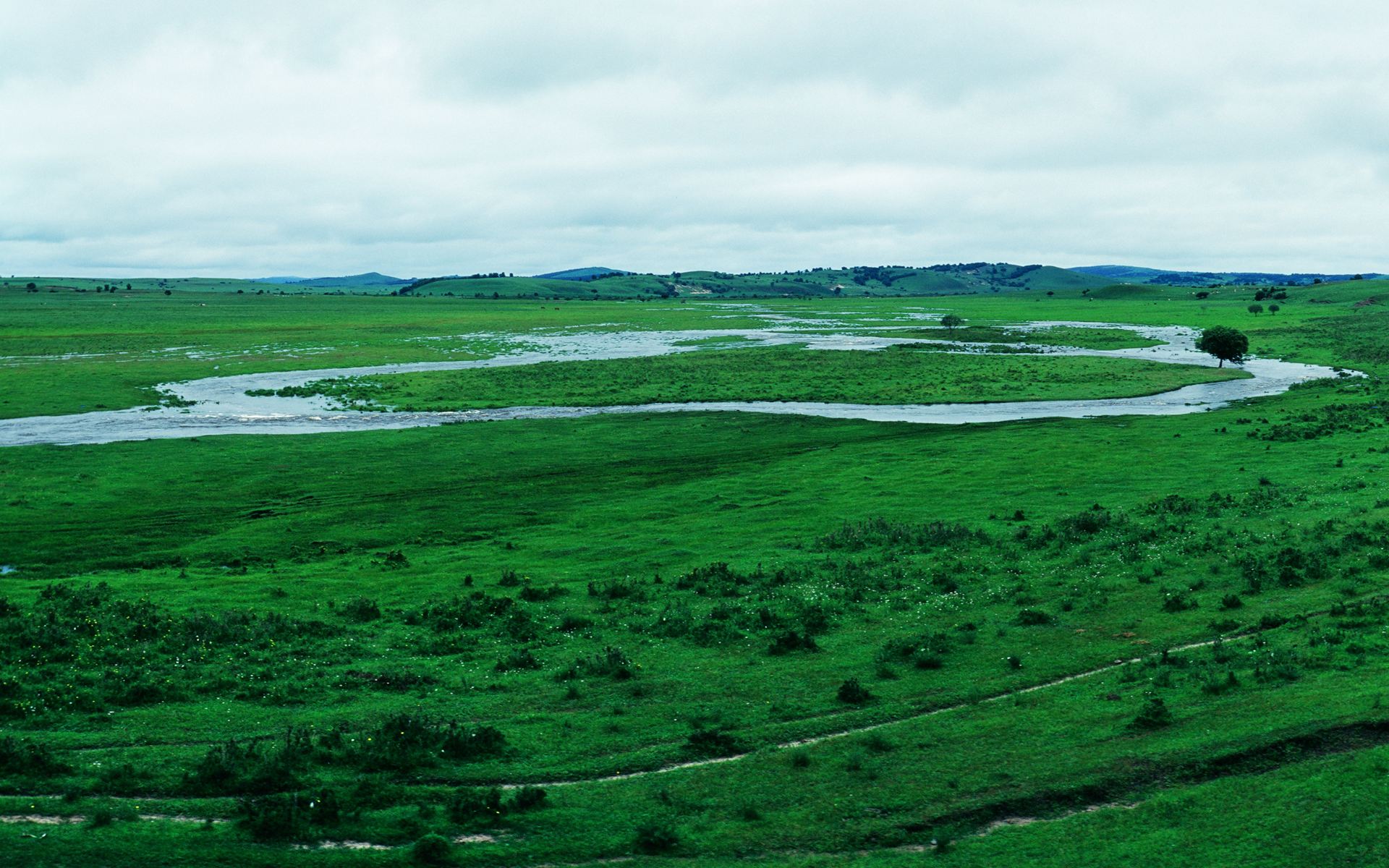 坝上草原木兰围场